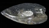 Heart Shaped Fossil Goniatite Dish #61281-1